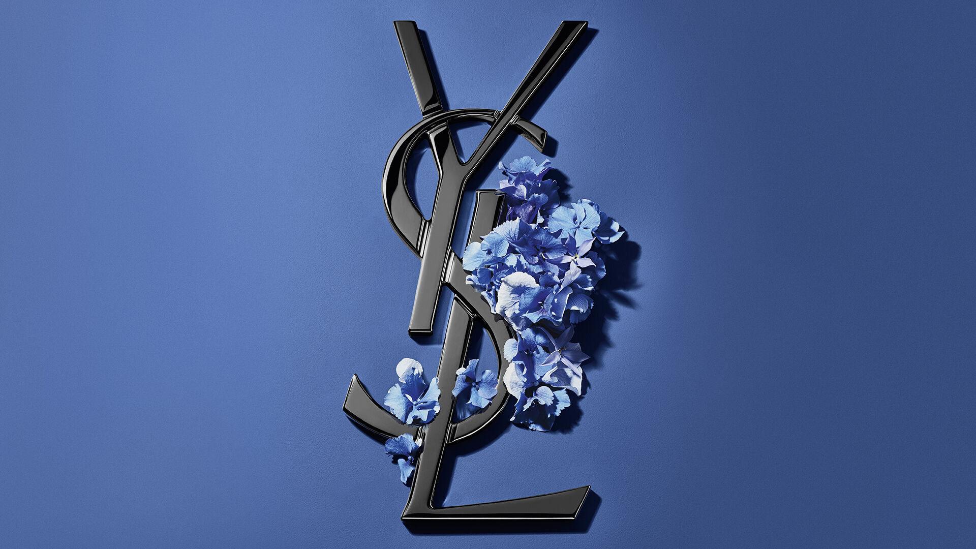 Confezione regalo YSL blu tra ortensie su sfondo blu.