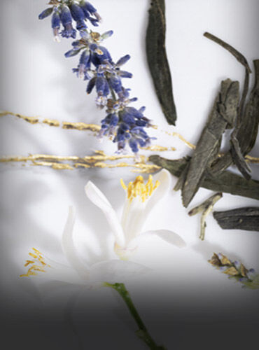 A close-up of various natural elements, including blue lavender flowers, thin pieces of wood, and a white flower, arranged artistically against a light background.