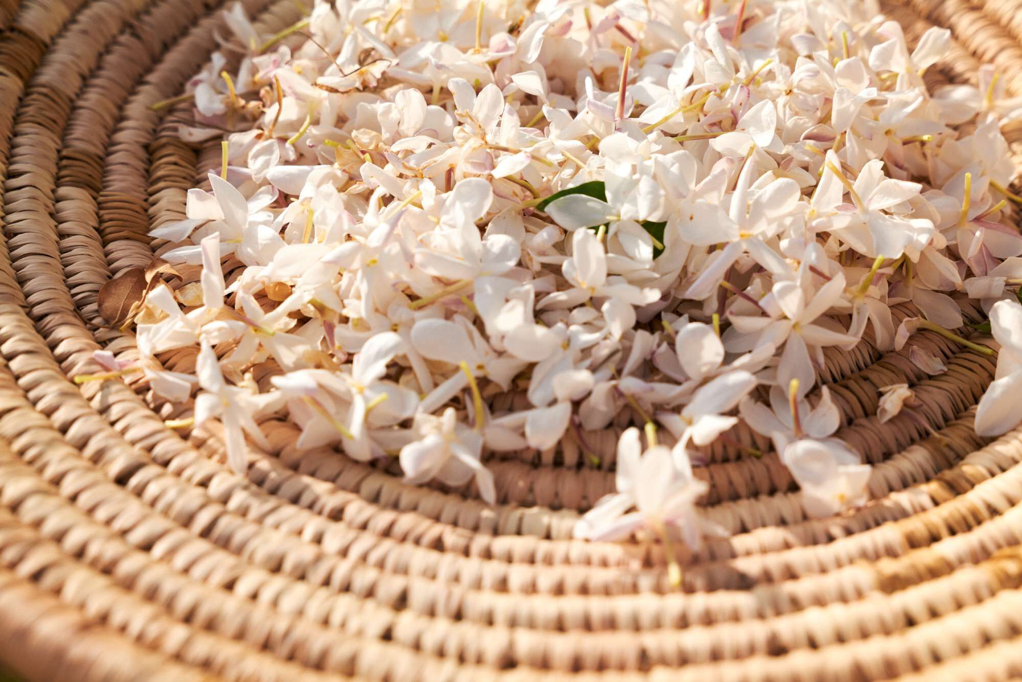 Una ciotola di paglia riempita di fiori bianchi e rosa.