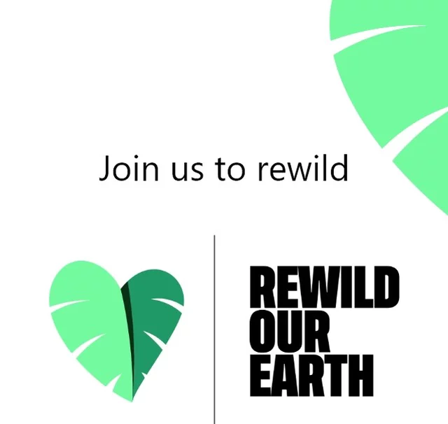 Alt text: A graphic featuring green leaves and the text "Join us to rewild" above "REWILD OUR EARTH." The design has a modern, clean aesthetic.