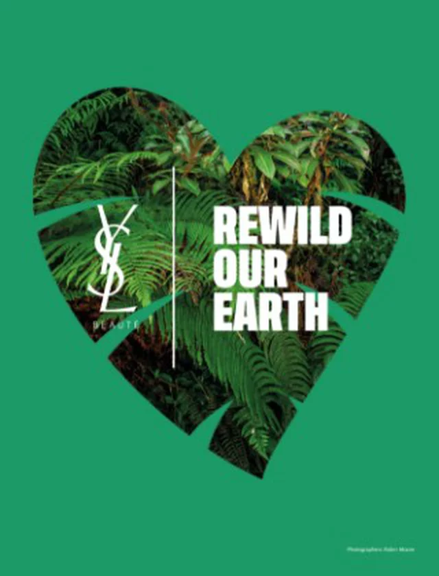 Immagine verde con un cuore ritagliato che contiene il testo "REWILD OUR EARTH" e il logo di Yves Saint Laurent, circondato da foglie di felce.