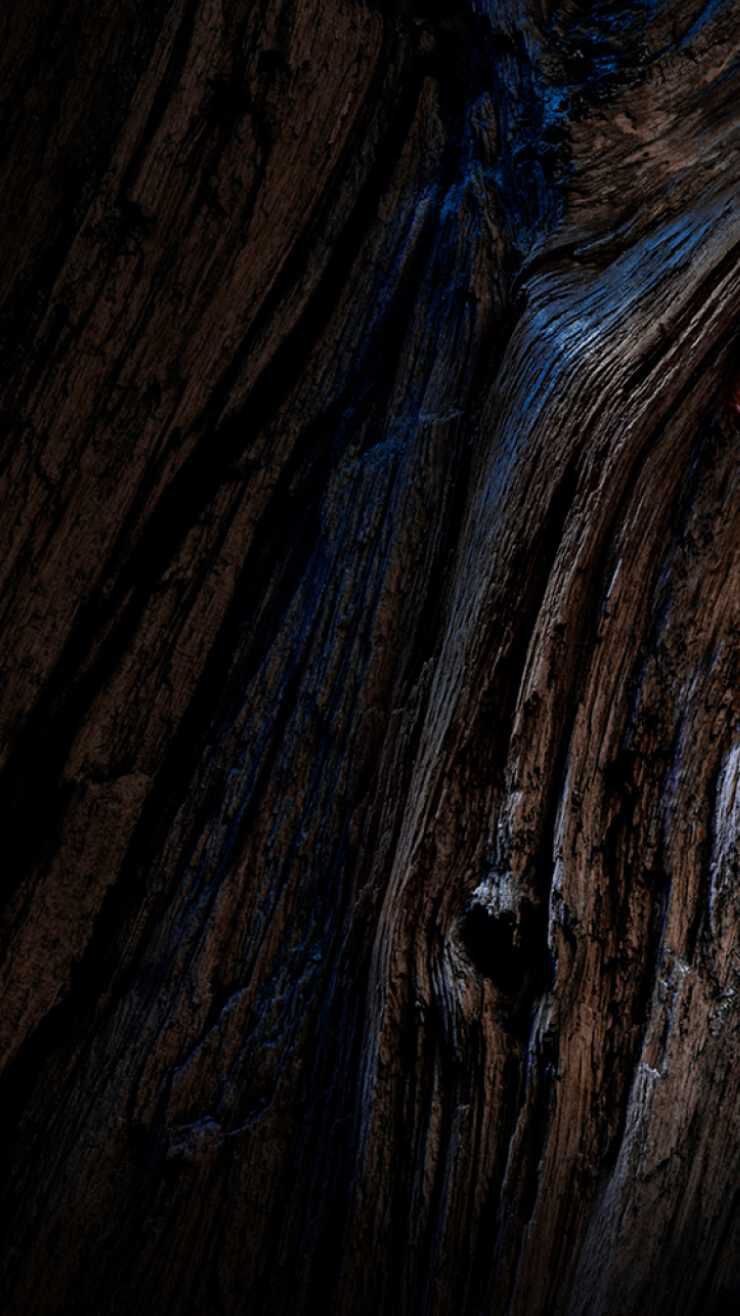 Close-up of textured, dark wood with subtle highlights and deep grooves, creating an organic and detailed pattern.