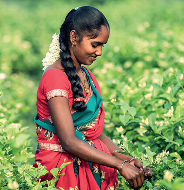 A woman in traditional attire is working in a lush green field, carefully picking flowers while smiling softly.