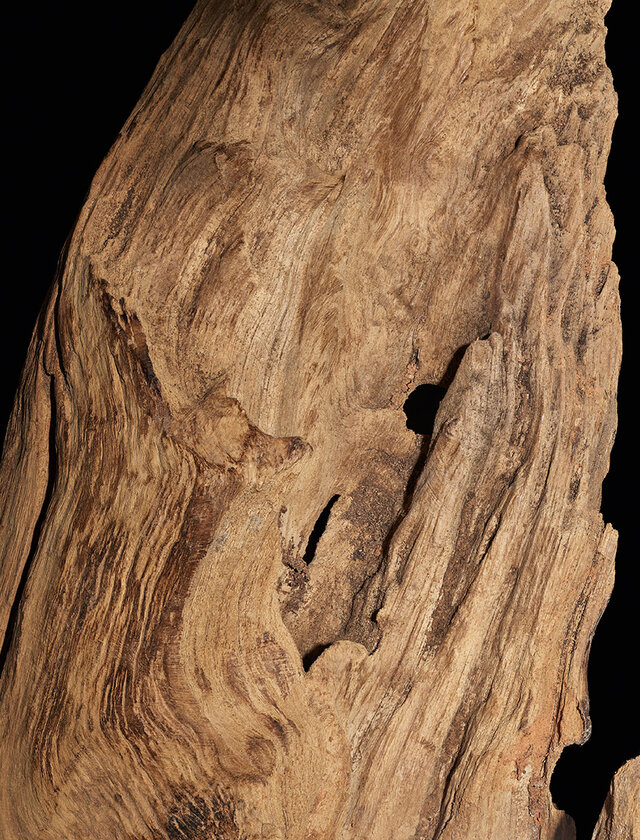 Close-up of a piece of weathered wood, showcasing its intricate grain patterns and natural texture against a dark background.