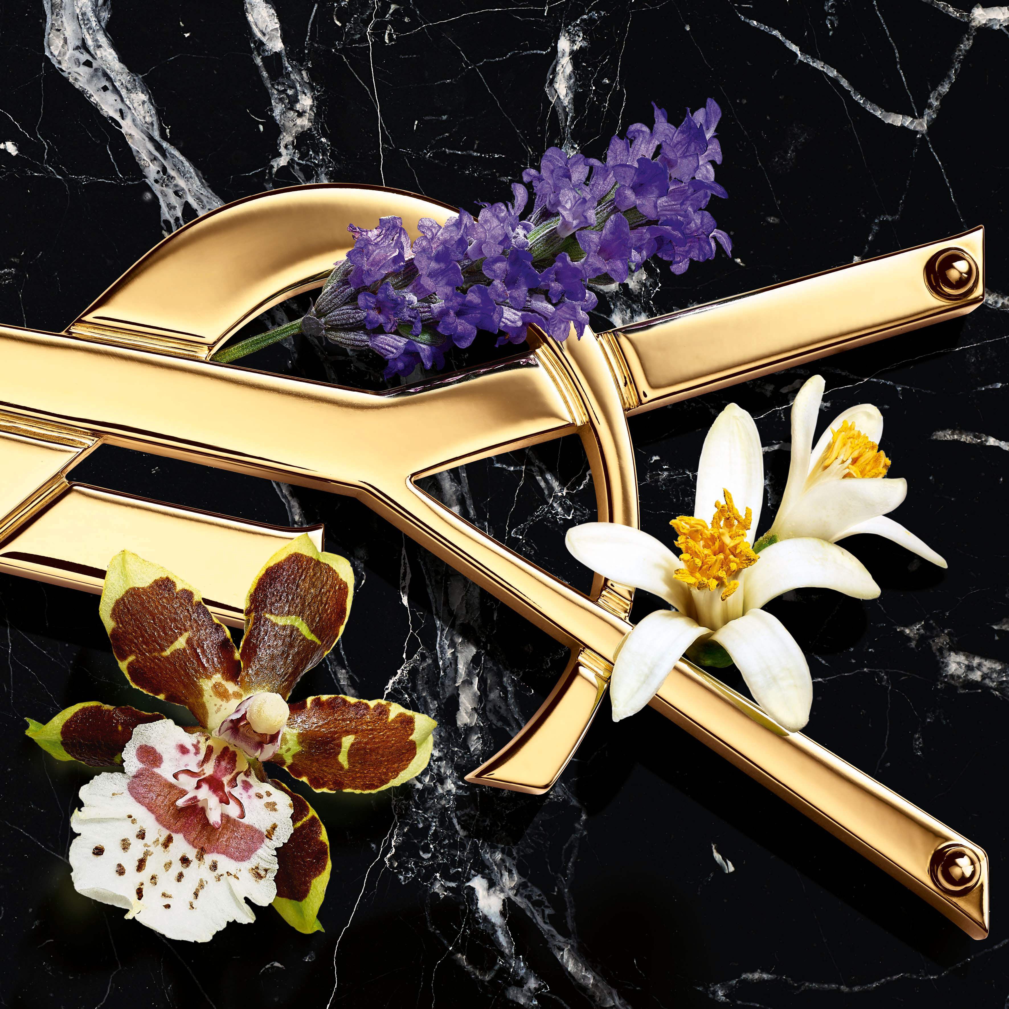 LIBRE Eau De Parfum Intense