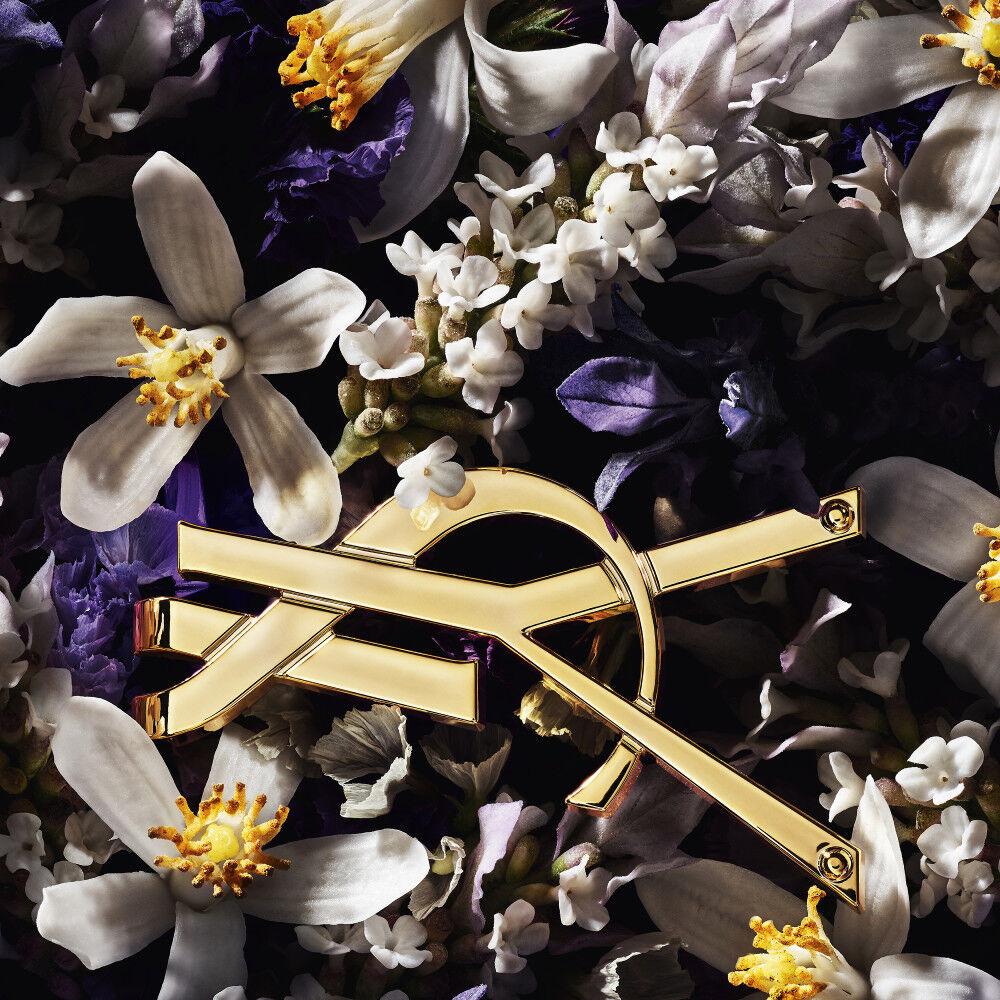 LIBRE L'Absolu Platine