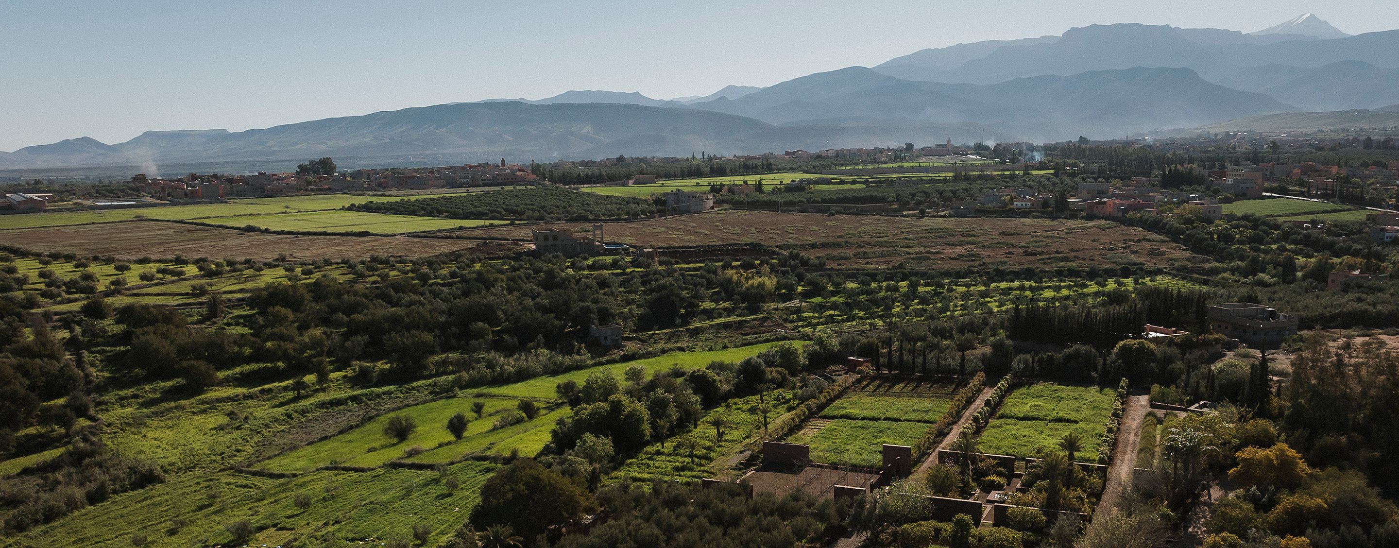 Giardini di Ourika, con distese verdi lussureggianti e montagne lontane.