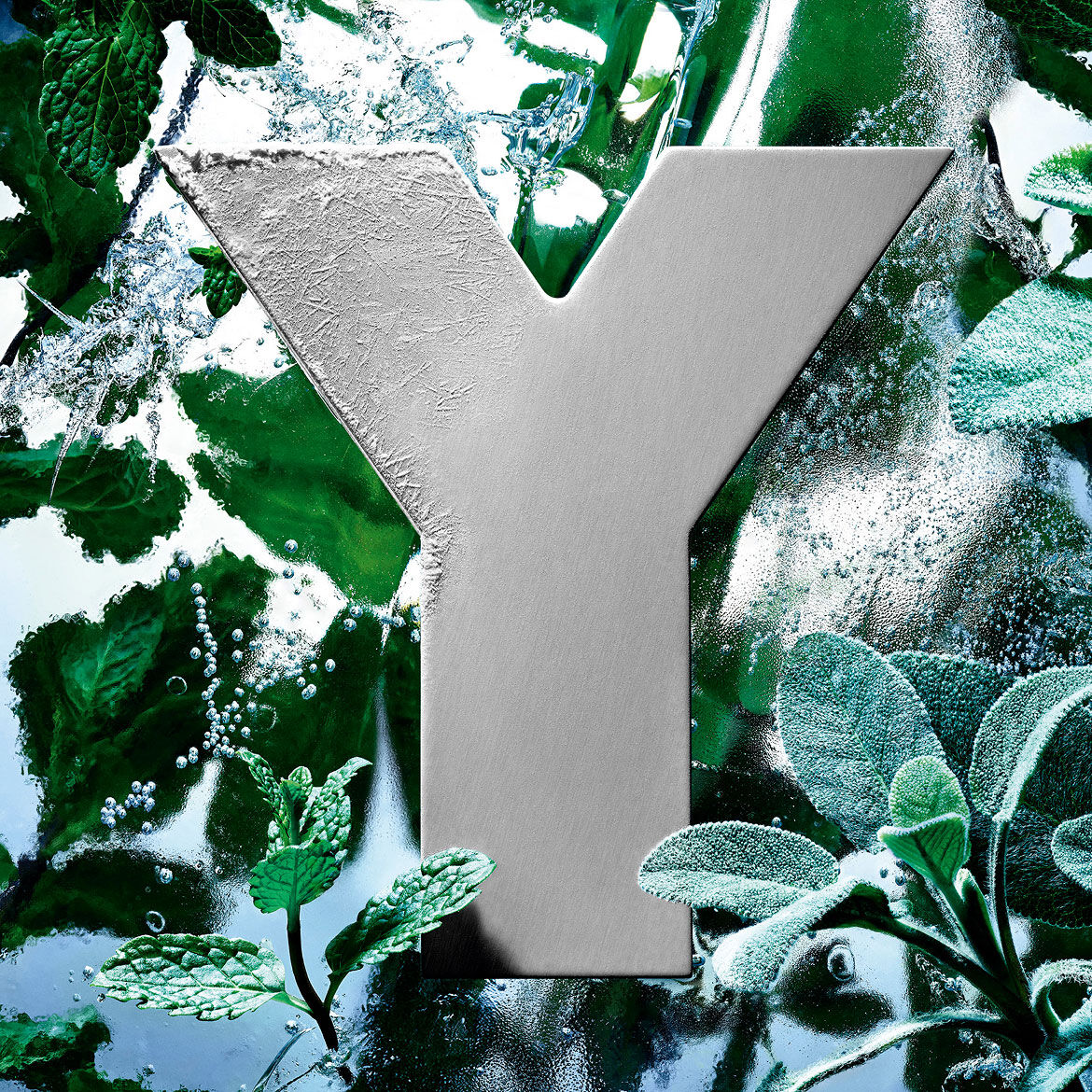 Il logo 'Y' di YSL, ricoperto di brina e ghiaccio, circondato da foglie fresche di menta e salvia.