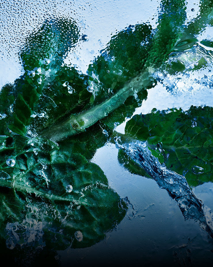 Foglie di menta fresca immerse in ghiaccio e acqua, a simboleggiare l'essenza rinvigorente di YSL Y Eau de Toilette Intense Iced Cologne.
