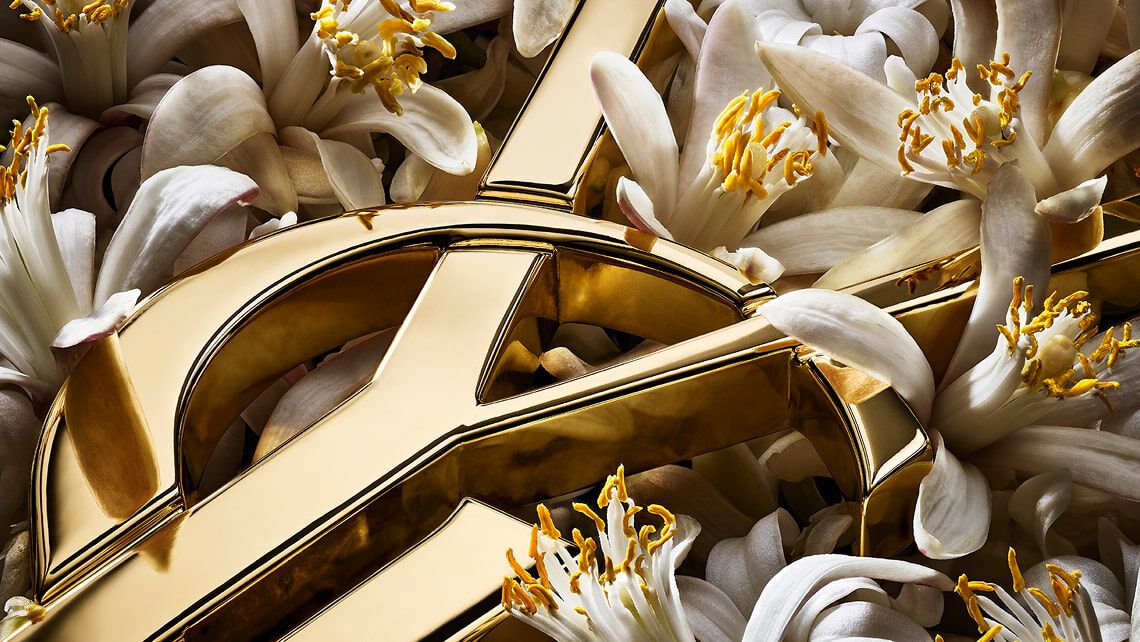 Primissimo piano stilizzato del logo YSL dorato su baccelli di vaniglia scuri, accentuando le texture.