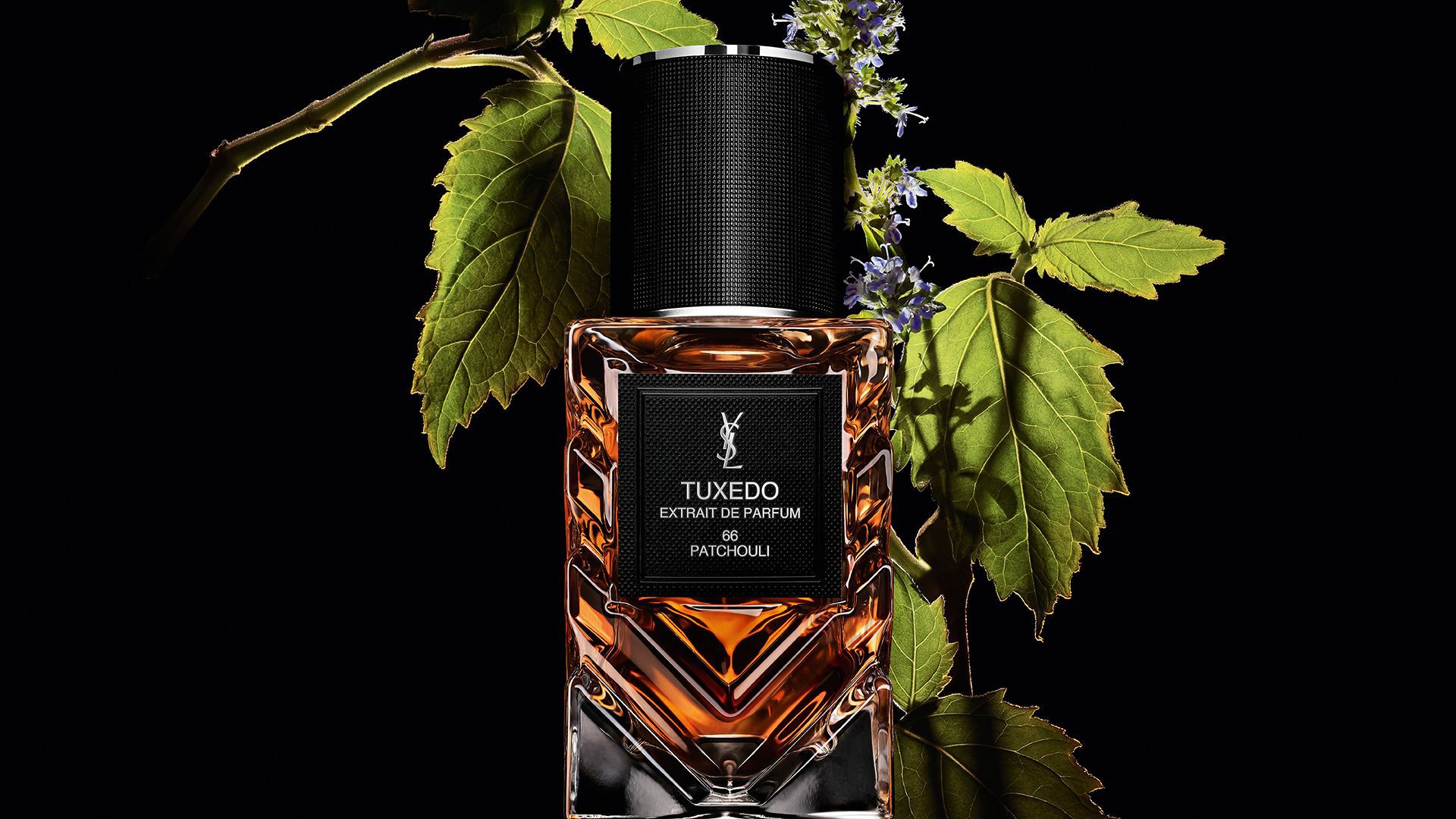Flacone di YSL LVDP Tuxedo Extrait de Parfum, ornato da vivaci foglie di patchouli verdi e delicati fiori viola.