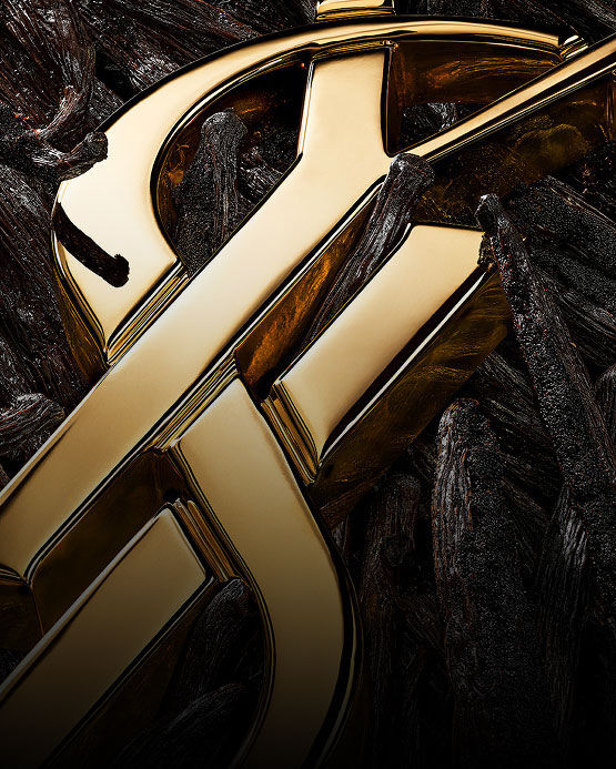 Vista dettagliata di baccelli di vaniglia scuri con un brillante emblema dorato YSL.