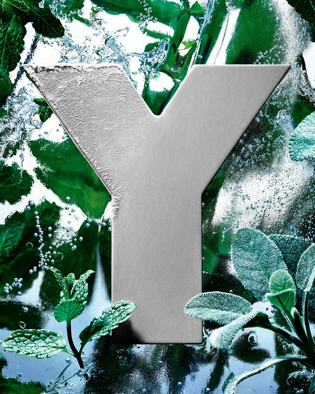 Il logo 'Y' di YSL, ricoperto di brina e ghiaccio, circondato da foglie fresche di menta e salvia.