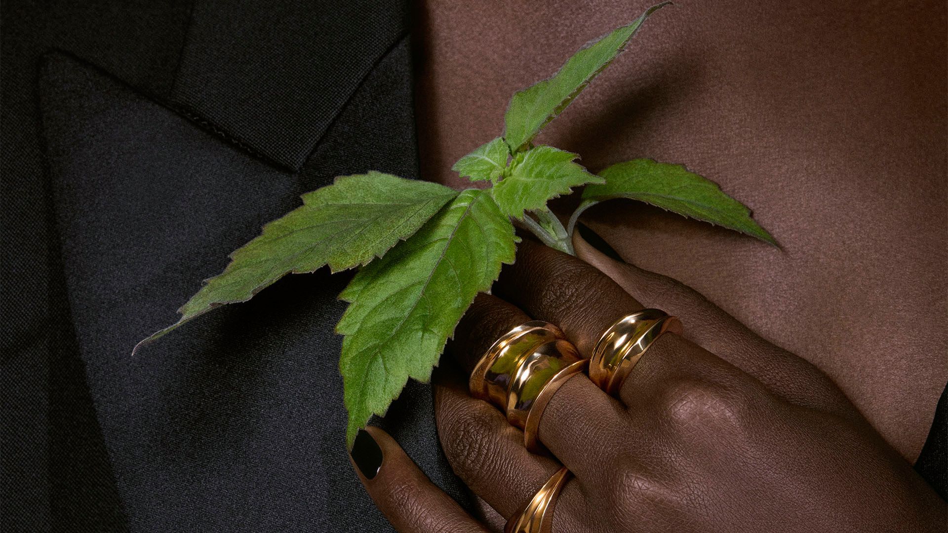 Una mano con vistosi anelli d'oro e unghie scure stringe un vivace rametto verde, riflettendo la raffinata eleganza della fragranza Tuxedo di YSL.