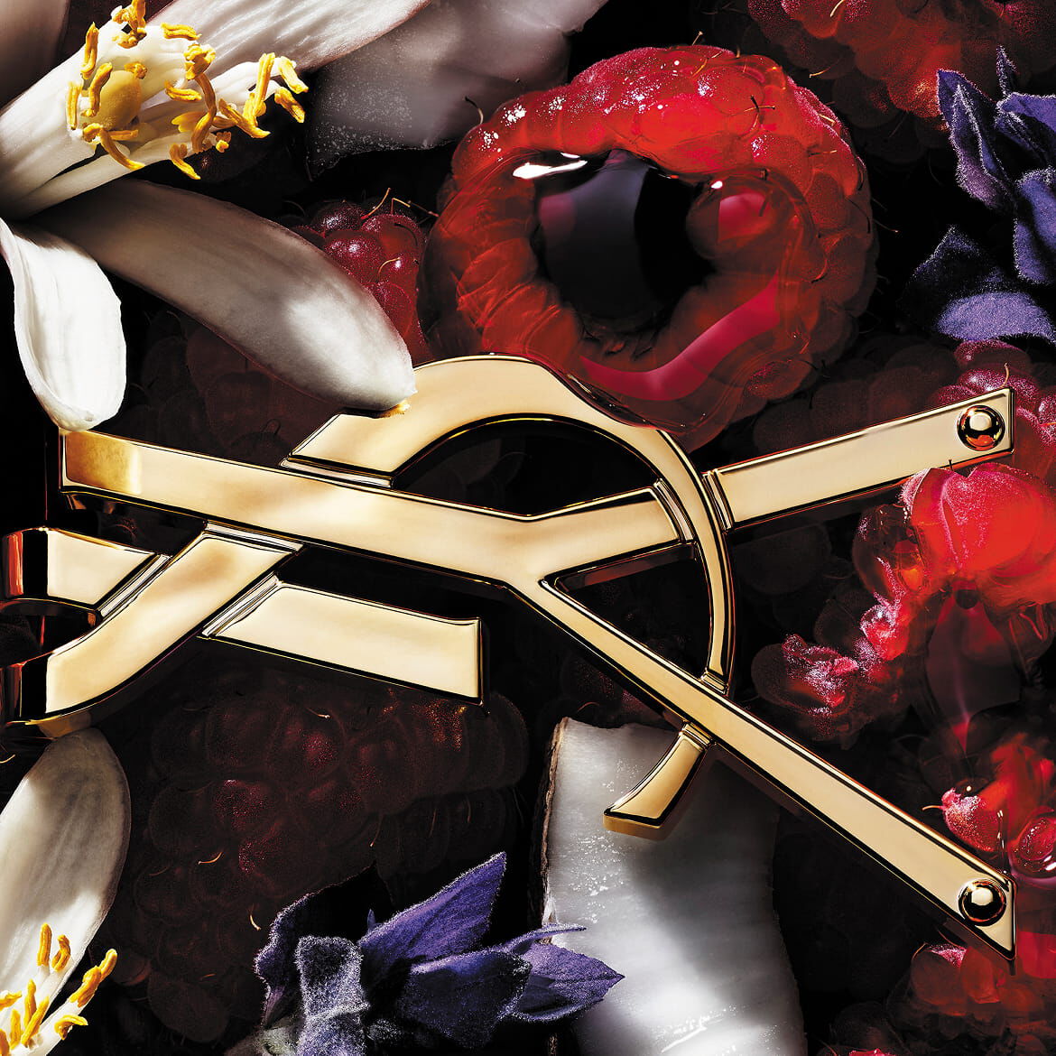 Logo YSL circondato da lamponi, fiori bianchi e viola e cocco.