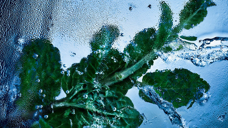 Foglie di menta fresca immerse in ghiaccio e acqua, a simboleggiare l'essenza rinvigorente di YSL Y Eau de Toilette Intense Iced Cologne.