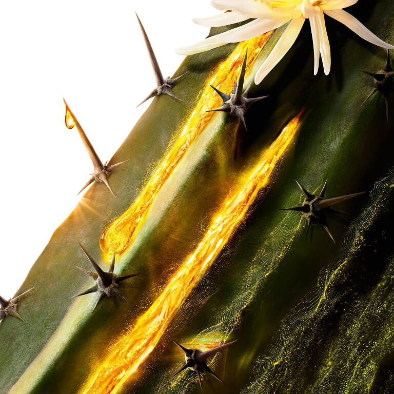 Cactus di Luna YSL Pure Shots, un ingrediente chiave, con un fiore bianco ed essenza dorata che scorre lungo lo stelo.