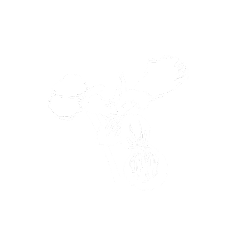 Elegante icona di burro di iris per CŒUR
Eau de Parfum by YSL, che rappresenta
le cipriate note di cuore della fragranza.